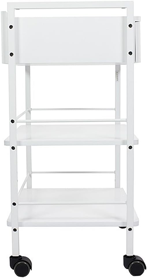 SKINACT Pro Single Drawer Cart Pro Medical Dental Mobile Utility Cabinet & Cart with Steel Frame and One Drawer