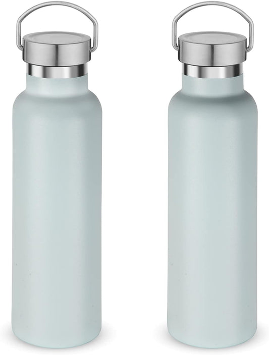 Neihepal 20 oz Insulated Water Bottles Bulk 2 Pack,Stainless Steel Double Wall Sport Bottle with Lid of Handle,Metal Reusable Thermoses Flask with Cup Cap for School,Cyclists,Gift (Fog,Set of 2)