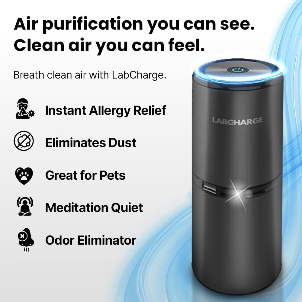 LabCharge Small Ionic Air Purifier for Home & Bedroom – Silent HEPA Filter – Covers 250 Sq Ft - Free Cleaner for Pets, Hair, Smoke, Dust, Odors & Dander – Compact & Black Design - Pack of 5