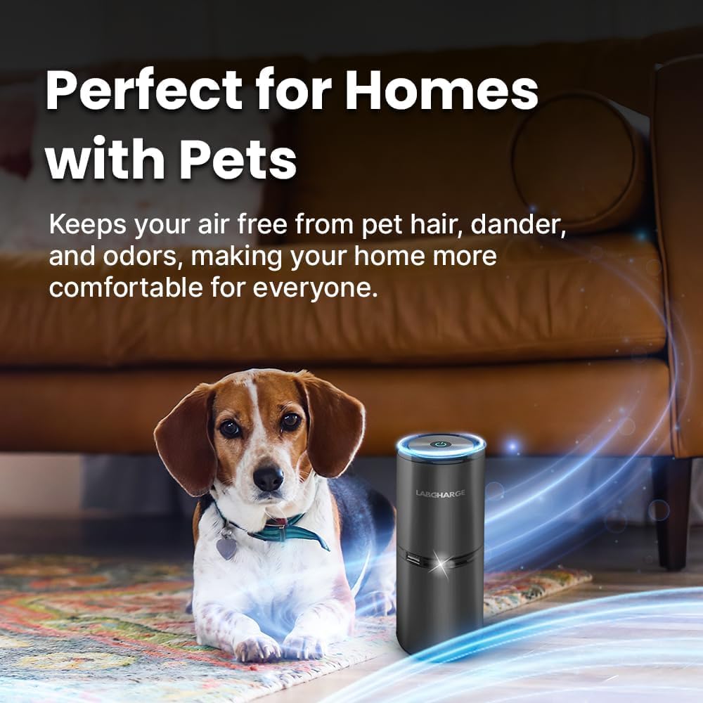 LabCharge Small Ionic Air Purifier for Home & Bedroom – Silent HEPA Filter – Covers 250 Sq Ft - Free Cleaner for Pets, Hair, Smoke, Dust, Odors & Dander – Compact & Black Design - Pack of 5