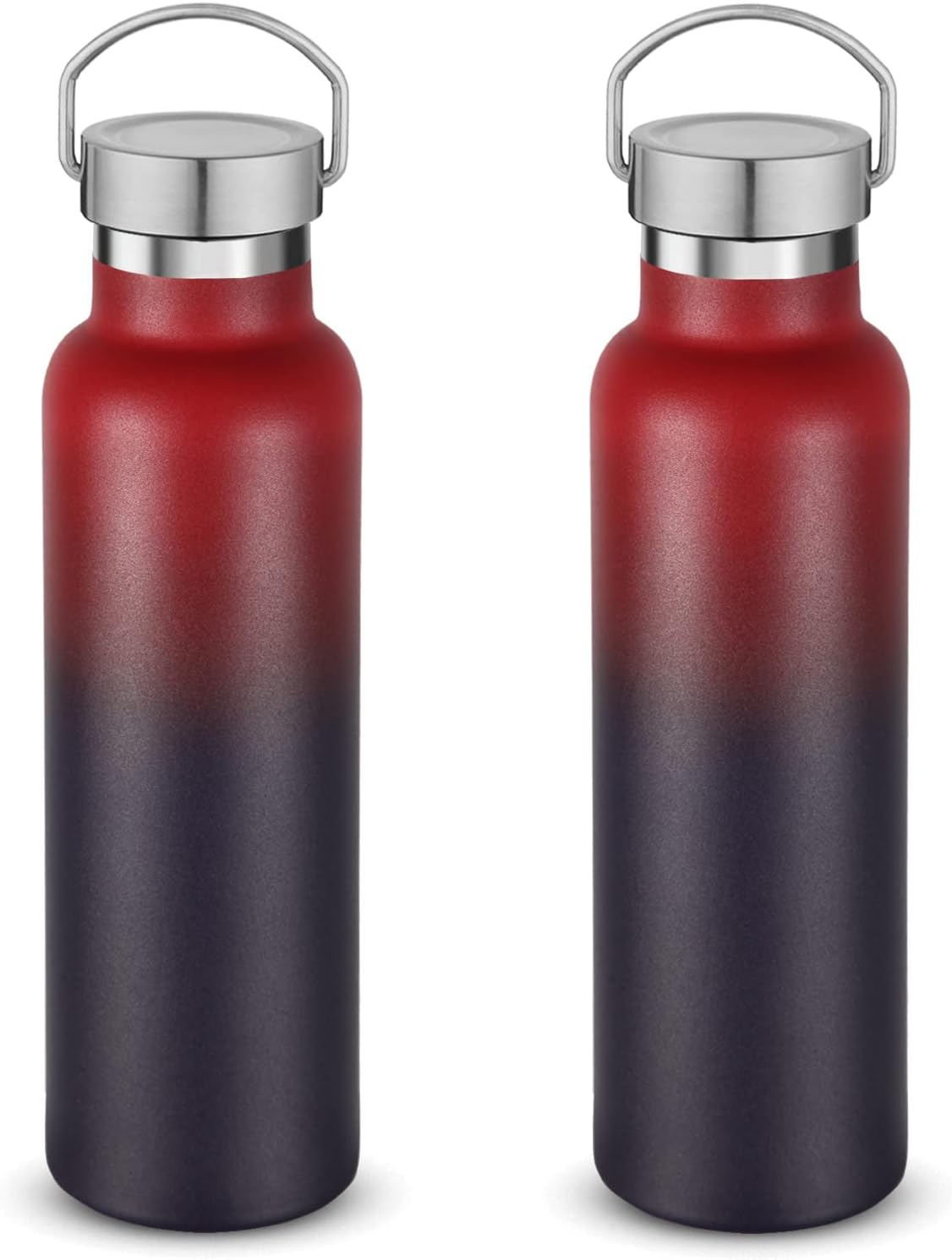 Neihepal 20 oz Insulated Water Bottles Bulk 2 Pack,Stainless Steel Double Wall Sport Bottle with Lid of Handle,Metal Reusable Thermoses Flask for School,Cyclists,Hikers,Gift (Dark Rainbow,Set of 2)