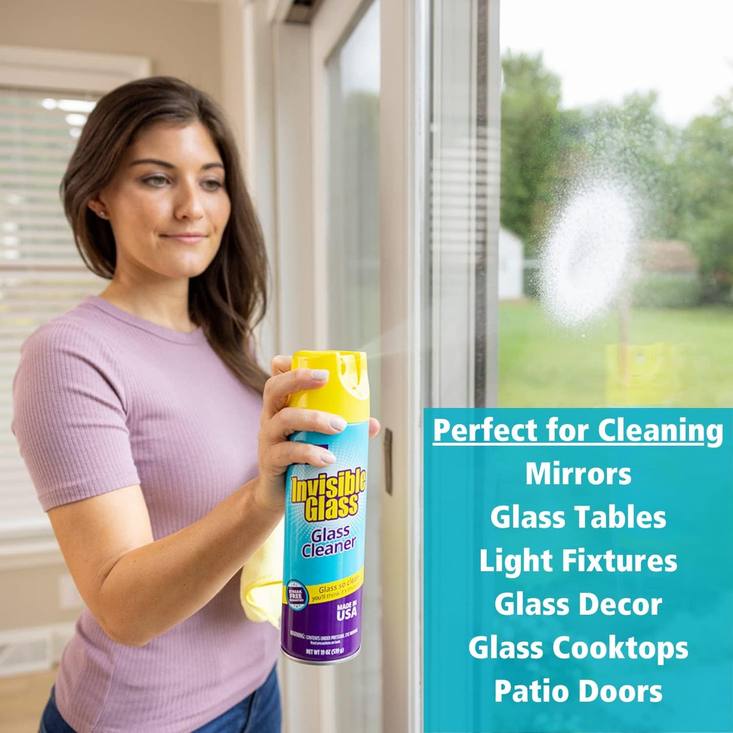 Invisible Glass 91160 Premium Glass and Window Cleaner for Auto and Home Cleans Glass, Windows, Glass Cooktops, Patio Doors, and More, Streak-Free, Ammonia-Free, Tint-Safe, 19 Oz, Pack of 1