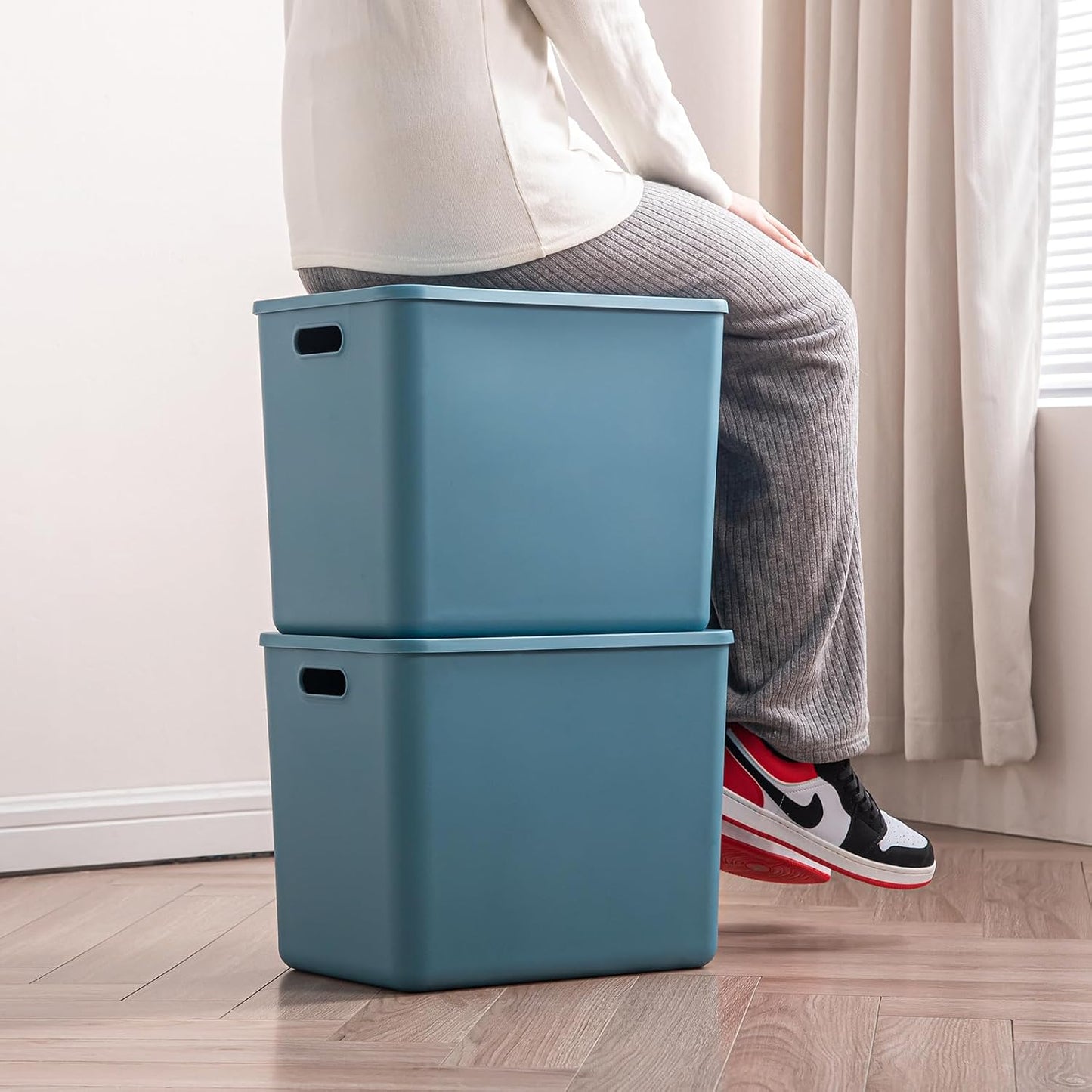 Plastic Storage Bins with lids,Storage Baskets,Container with handle,Storage Organizer Bins for Shelves,Office,Bedrooms,Closets, Cabinets(Blue, 4XL)