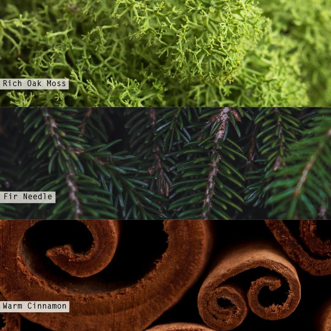 ILLUME Boxed Glass Candle Refill, Balsam & Cedar