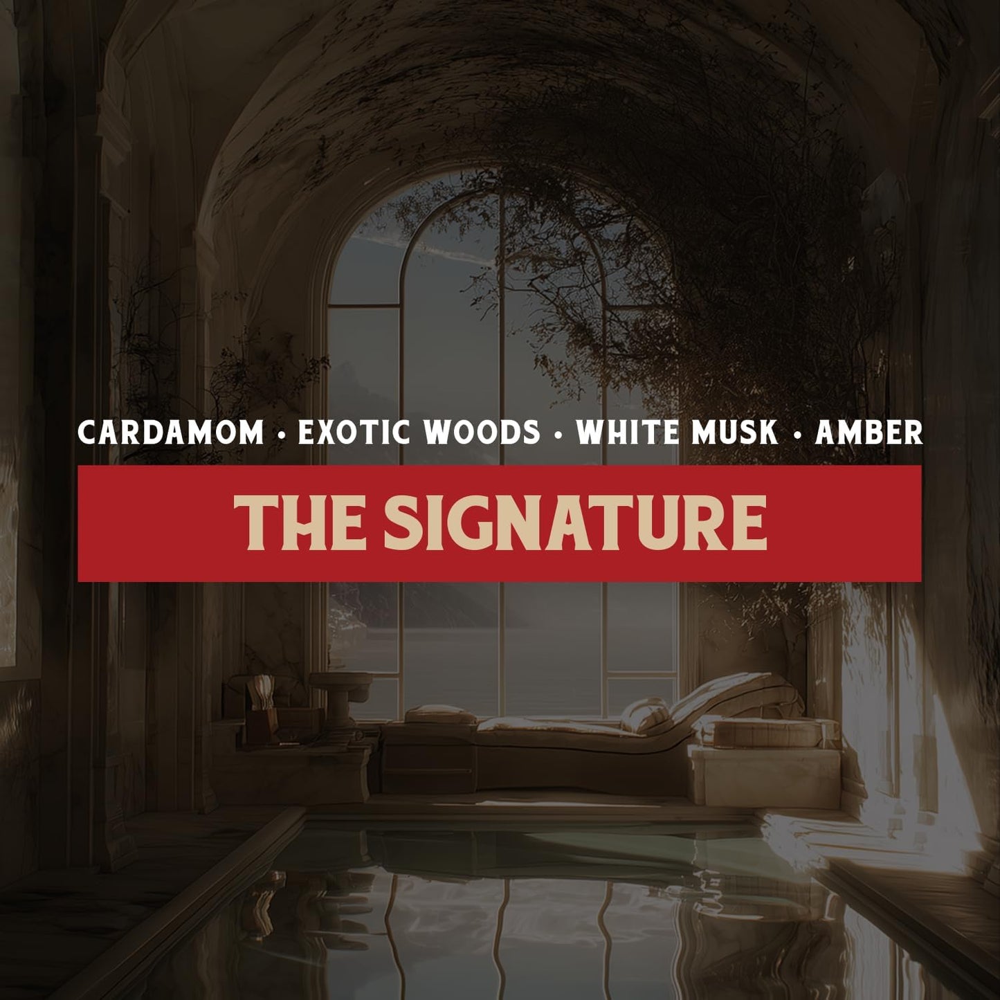 CAMPANELLI Multi-Purpose Surface Cleaner for Kitchen, Bathroom, Hard Surfaces - Plant-Powered, Scented - 20 oz, The Signature