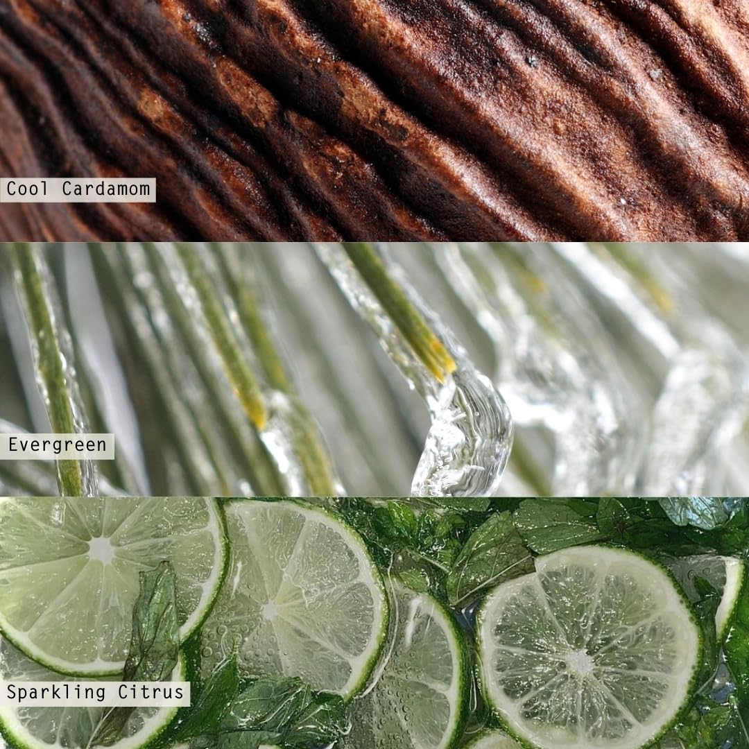 ILLUME Refillable Boxed Glass Candle, Winter White