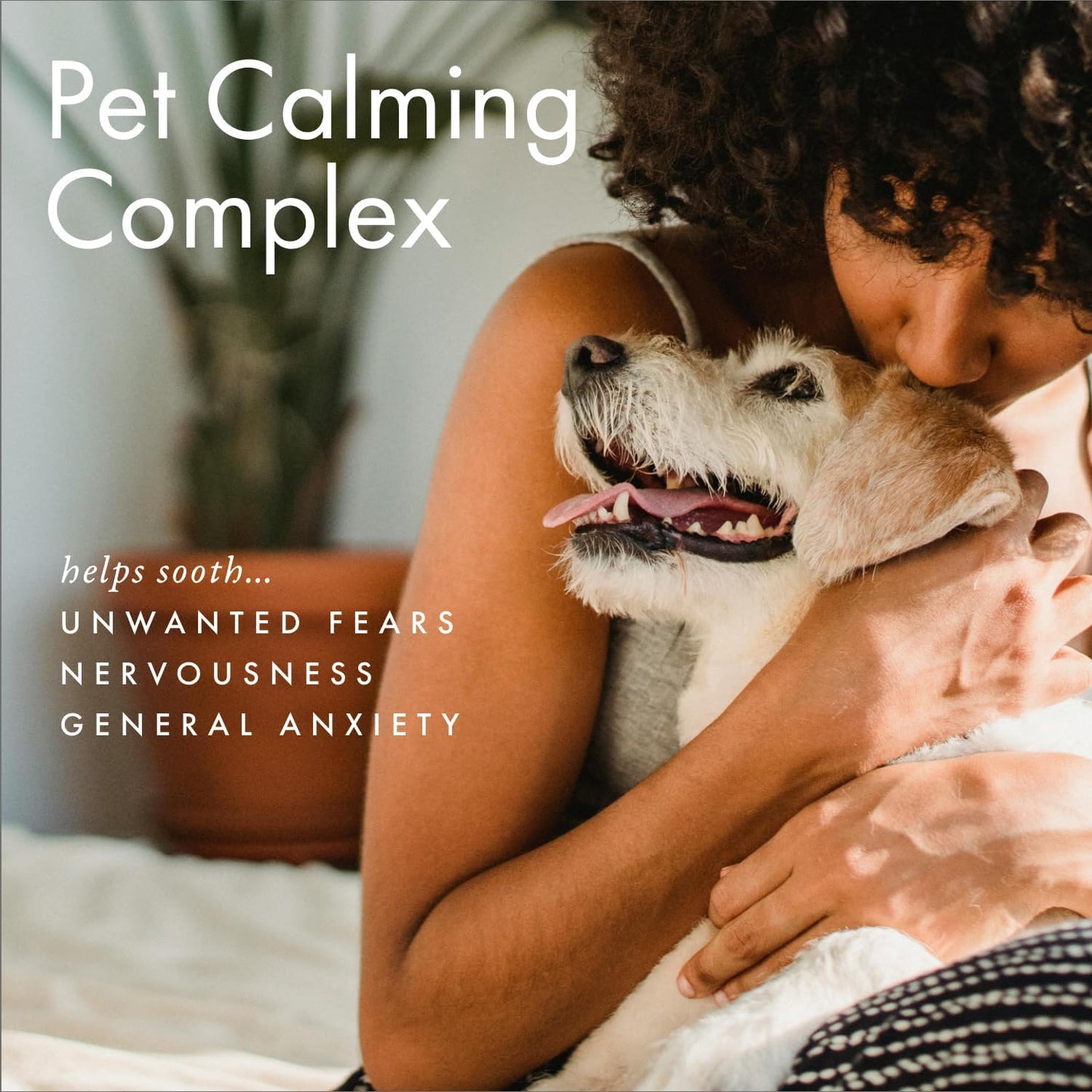 ScentAir Whisper Home Monthly Plug-in Refill, Fragrance Cartridge for Home and Office, Aloe Oasis Pet Calming