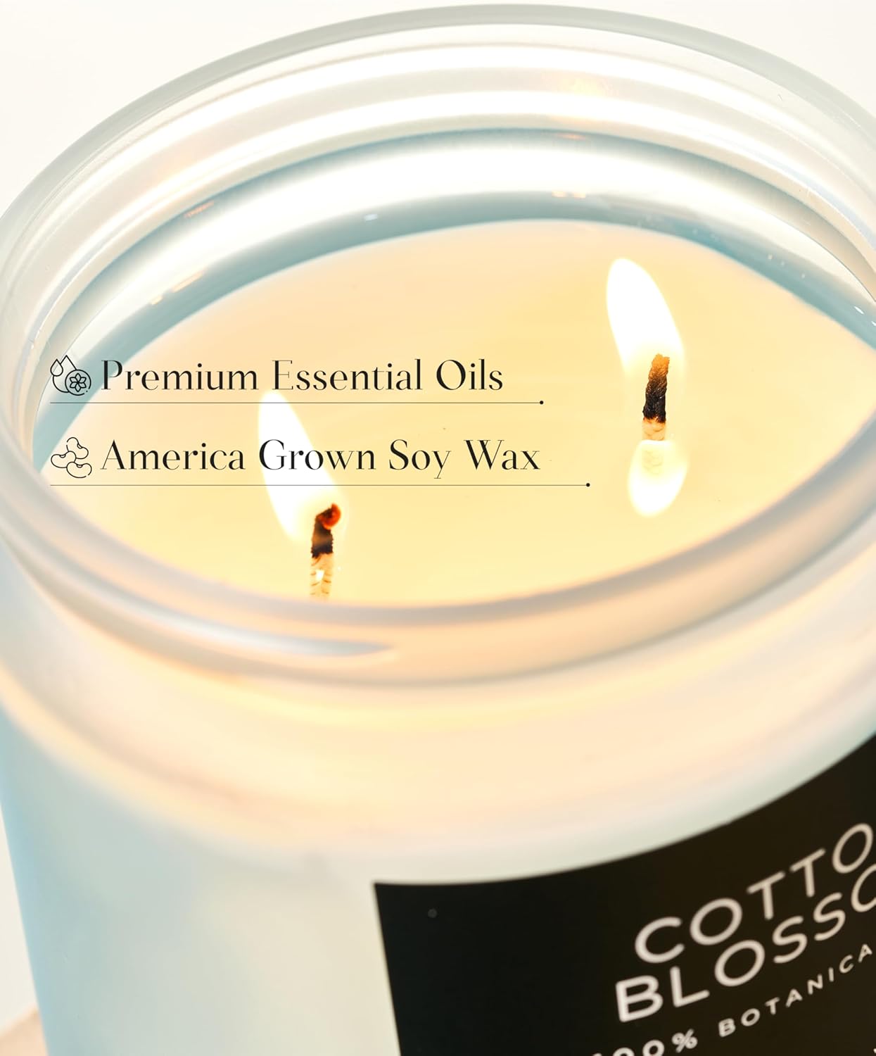 M&SENSE Clean Cotton Scented Candle - 11.6oz Natural Soy Wax Clean Cotton Blossom Scent Non Toxic Candle, 70-Hour Slow Burning 2-Wick Aromatherapy Home Fragrance Gifts for Home Decor