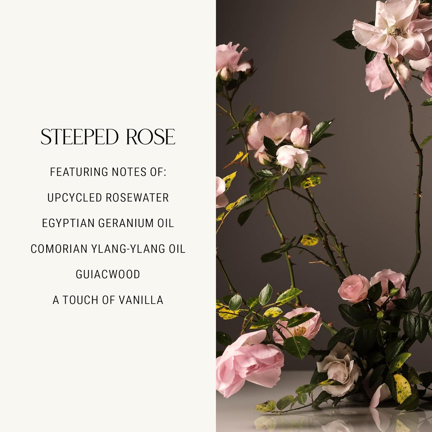 Homecourt All-Purpose Surface Cleaner Spray, Lifts Away Dirt, Smudges & Grease, For Bathroom, Kitchen & more, Clean Formula, Steeped Rose, 16 fl oz