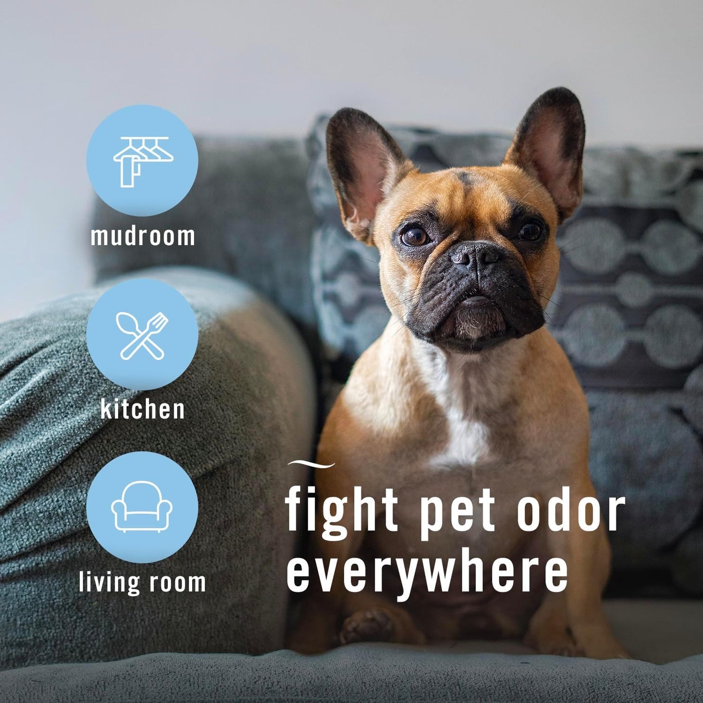 Febreze Air Mist Air Freshener Spray, Odor-Fighting Room Spray, Air Fresheners for Home and Bathroom and Kitchen, Aerosol Can, HD Pet Odor Fighter Scent, 8.8oz, 3 Count