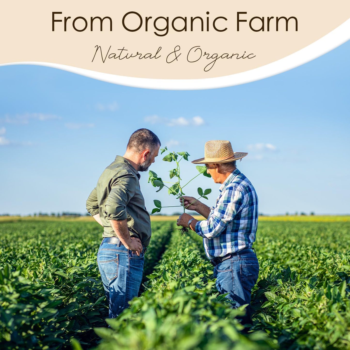 CHILLFLAME Soy Wax Flakes, Natural Candle Wax, Organic Soy Wax for Candle Making from Farm, No Harmless, Additives, and Pure (40 lb)