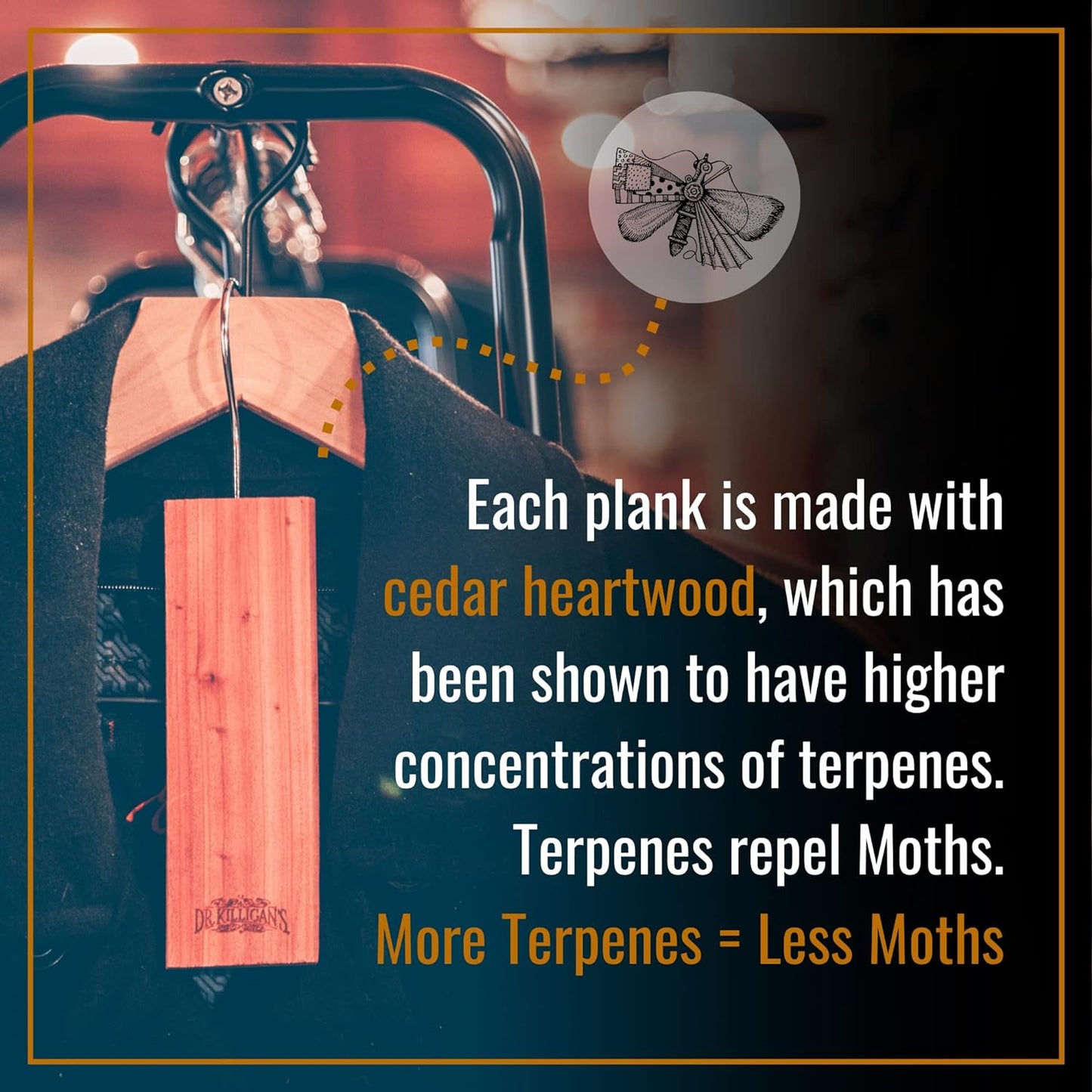 Dr. Killigan's Cedarwood Planks - Cedar Blocks for Clothes Storage, Great Alternative to Moth Balls for Closet, Drawer Deodorizer, Sustainably Harvested in USA (10-Pack)