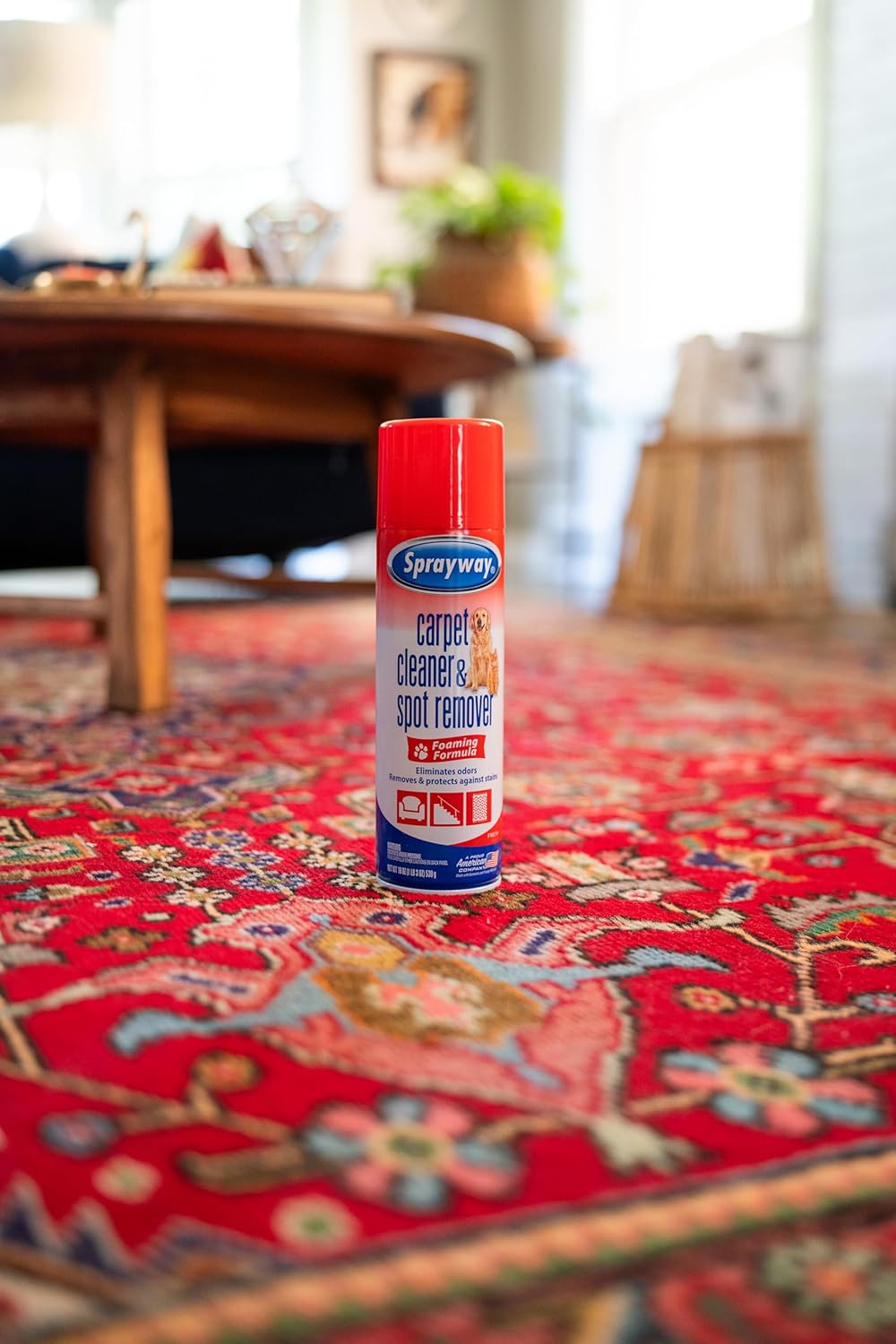 Sprayway Carpet Cleaner (Pet), 19oz | Removes Pet Stains & Odors, Foaming Action | Deep Cleans Carpets & Upholstery | Fresh Scent, Quick-Drying Formula