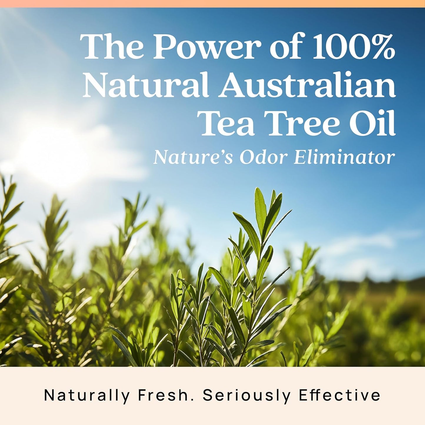 Azuna Air Freshener & Odor Eliminator for Strong Odor | 1 Room Kit Includes (1) Empty Luxe Glass Jar & 8oz Refill with Tea Tree Essential Oil Gel | Simply Citrus | Last 60-90 Days