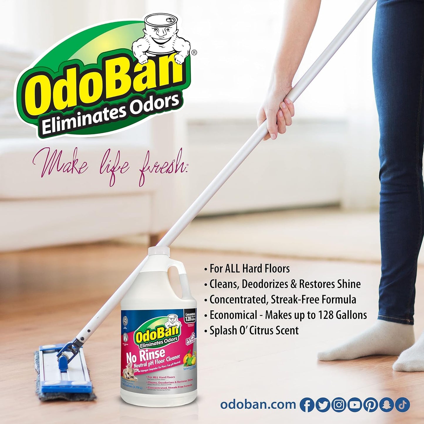 OdoBan Pet Solutions No Rinse Neutral pH Floor Cleaner Concentrate, Made in the USA, 1 Gallon, and Oxy Stain Remover, 32 Ounce Spray