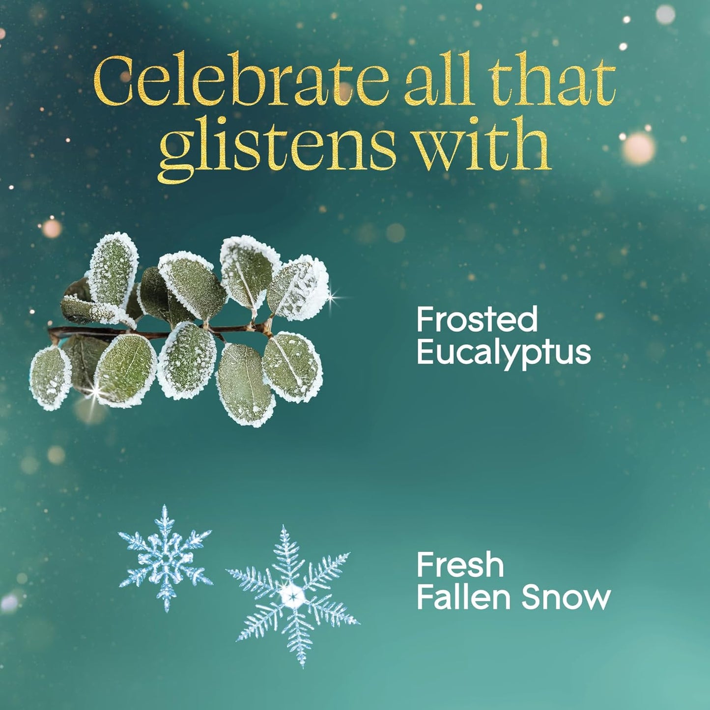 Glade PlugIns Refills Air Freshener, Bergamot & Eucalyptus, Scented and Essential Oils for Home and Bathroom, 0.67 Fl Oz, 5 Count