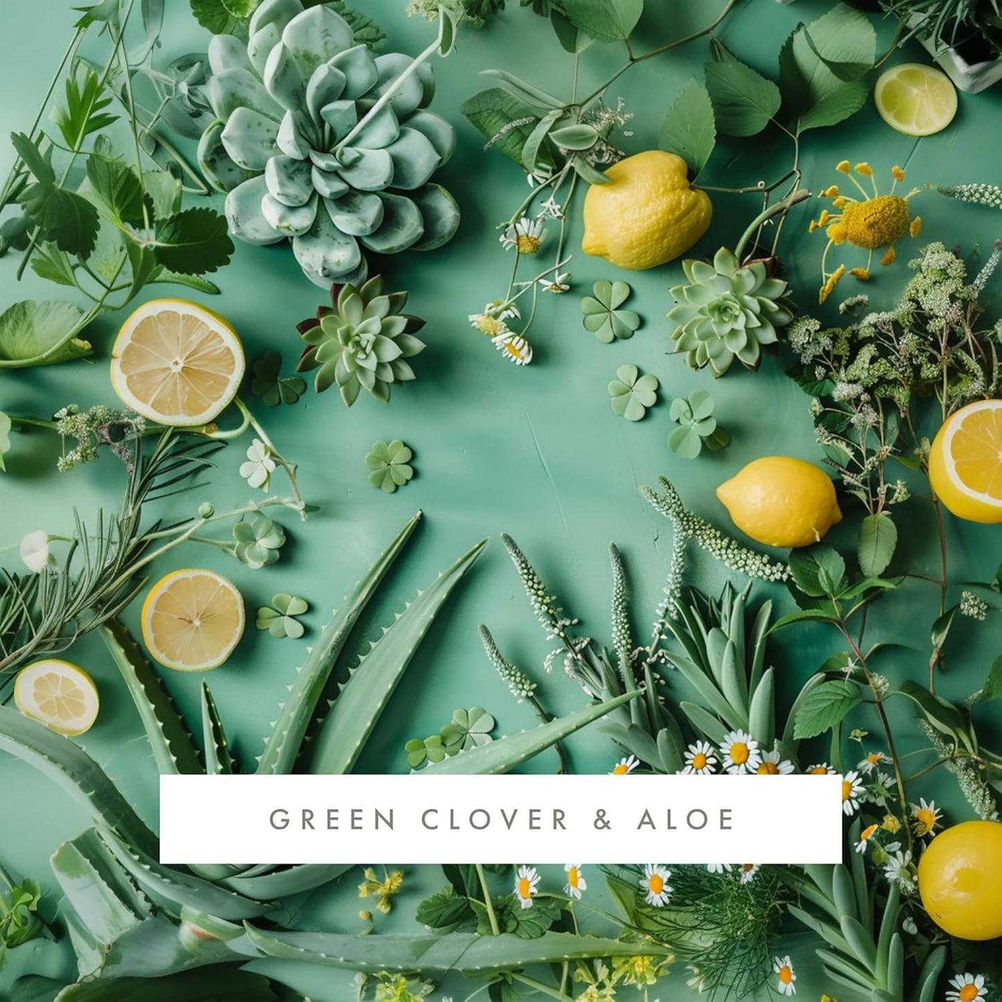 ScentAir Whisper Home Monthly Plug-in Refill, Fragrance Cartridge for Home and Office, Green Clover & Aloe