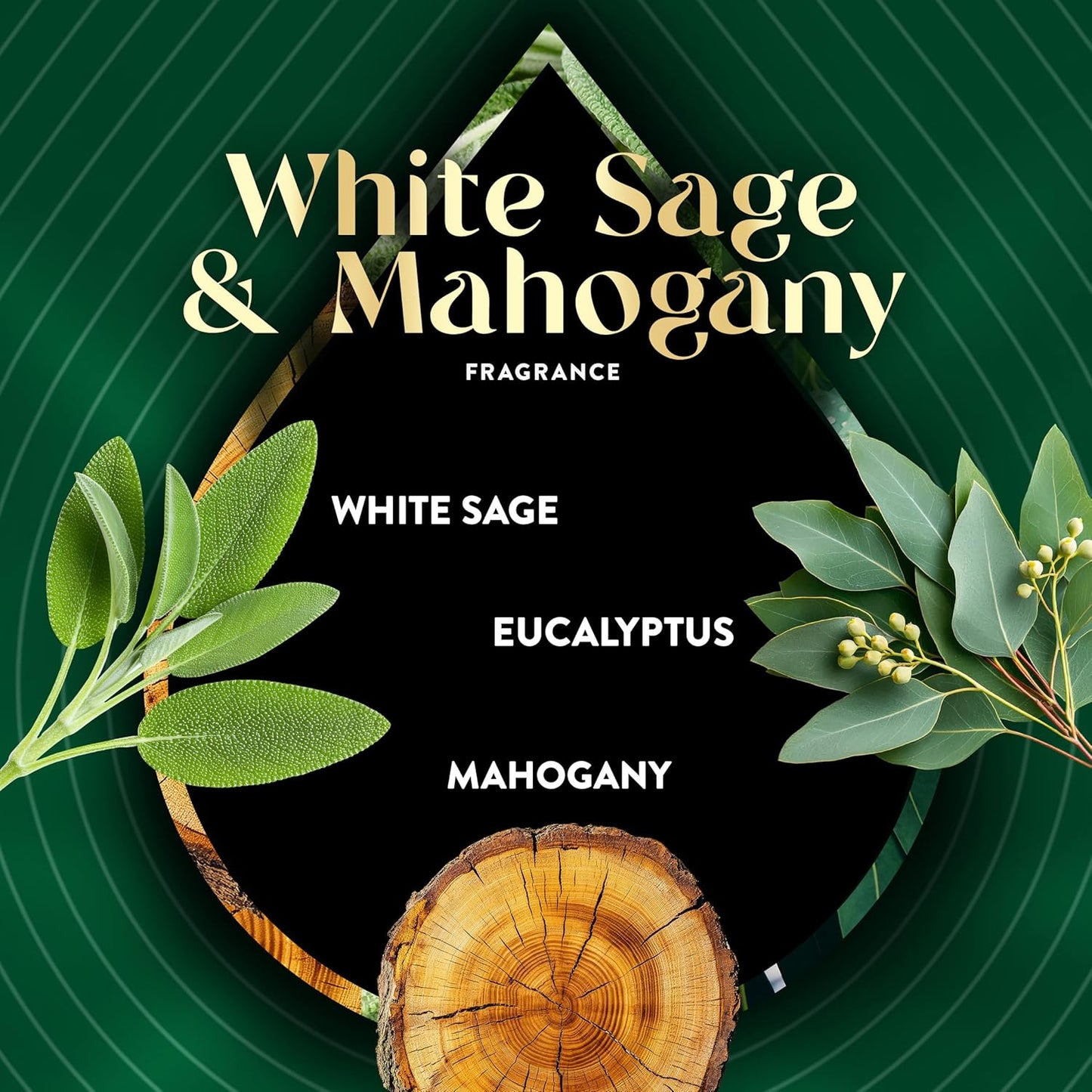 Air Wick Plug in Scented Oil Refill, 5ct, White Sage & Mahogany, Air Freshener, Essential Oils