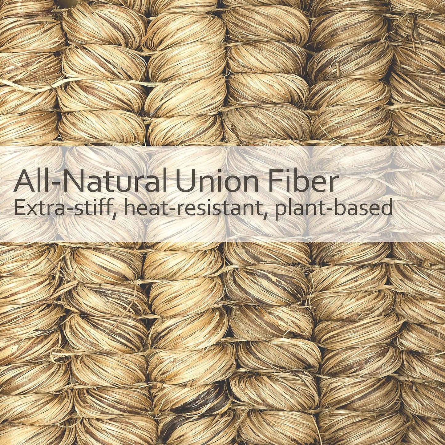 REDECKER Curved Dish Brush, Natural Union Plant Fiber Bristles, Ergonomic Design with Oiled Beechwood Handle, 10-1/2 Inches, Set of 2, Made in Germany - Union Bristle Scrubber